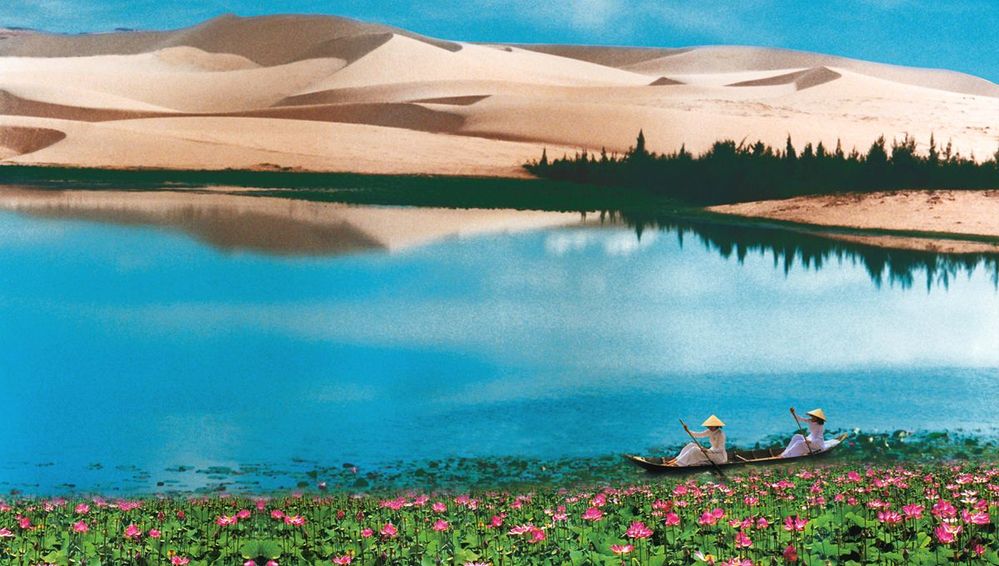  
Hình ảnh hồ sen tuyệt đẹp giữa một "tiểu sa mạc" thu nhỏ khiến người ta mê mẩn. (Ảnh: MIA)