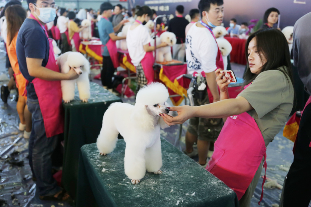  
Nhiều người sẵn sàng bỏ tiền đưa thú cưng đi spa, du lịch. (Ảnh: China Daily)