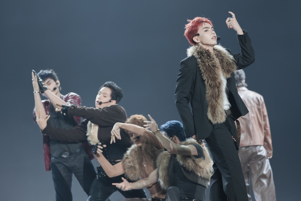 Các tân binh tiến bộ qua từng vòng công diễn.
Các tân binh tiến bộ qua từng vòng công diễn.