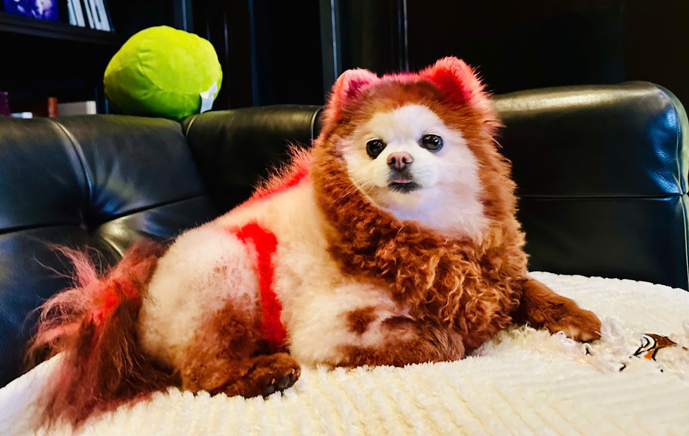 - Tin sao Viet - Tin tuc sao Viet - Scandal sao Viet - Tin tuc cua Sao - Tin cua Sao