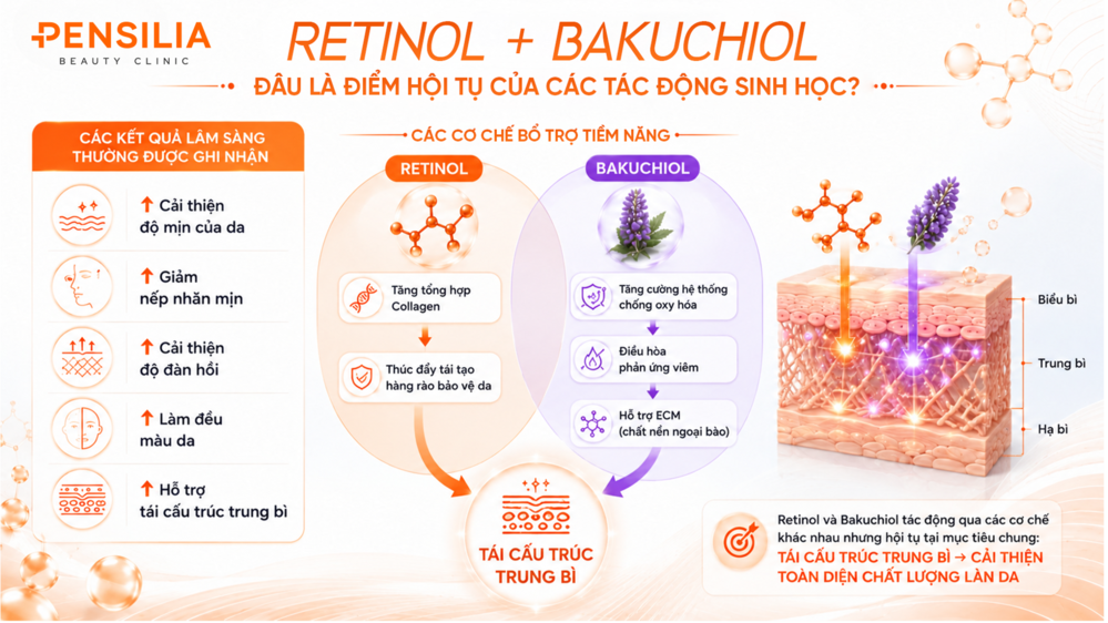 Retinol + BAkuchiol - Cơ chế lâm sàng và Cơ chế bổ trợ.
Retinol + BAkuchiol - Cơ chế lâm sàng và Cơ chế bổ trợ.