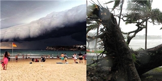 Nước Úc bàng hoàng sơ tán khỏi cơn bão nghiêm trọng nhất thập kỷ