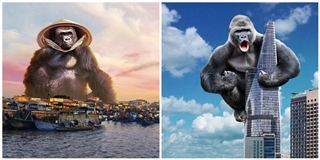 Té ghế loạt ảnh mang Kong đi khắp Việt Nam của thánh lầy photoshop
