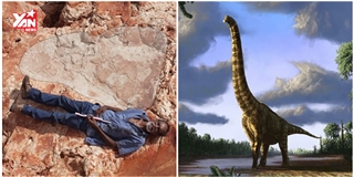 Phát hiện dấu chân khủng long lớn chưa từng thấy ở Úc