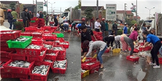 2 tấn cá đổ tràn ra đường, người dân nhiệt tình giúp tài xế thu gom
