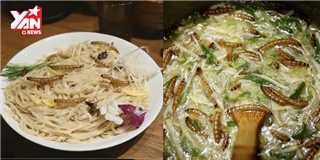 Giới sành ăn Nhật Bản chen chân thưởng thức mì ramen lúc nhúc sâu bọ