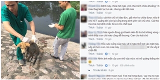 Biết chú chó bị bệnh nặng, chàng trai nhẫn tâm vứt xuống sông Tô Lịch