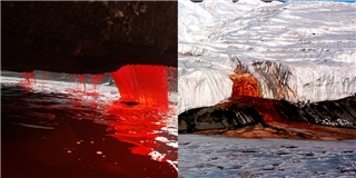 Bí ẩn thác máu Nam Cực trong hơn 100 năm qua đã có lời giải đáp