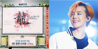 Sốc với số gạo khủng fan “quyên góp” cho concert của G-Dragon