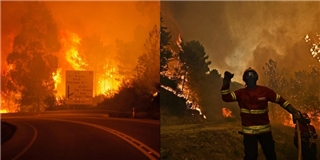 Cháy rừng nghiêm trọng nhất 5 thập kỷ qua làm gần 50 người thiệt mạng