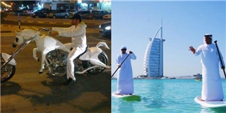 Giàu thôi chưa đủ, đây là những điều không tưởng mà chỉ Dubai mới có