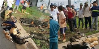 Biên Hòa: Hai thanh niên trộm chó bị người dân đánh cho thê thảm rồi đốt xe máy