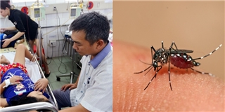 TP.HCM: Bệnh nhi thứ 4 tử vong vì bệnh sốt xuất huyết