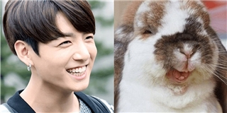 Loạt ảnh chứng minh idol Kpop chính là hậu duệ của loài thỏ