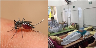Hà Nội: Bệnh nhân thứ 3 tử vong do sốt xuất huyết