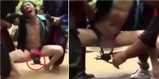 Chàng trai Thái Lan kêu la thảm thiết vì bị... cua kẹp ''cậu bé''