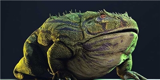 Con ếch đến từ địa ngục: Sát nhân khủng khiếp có thể hạ gục cả khủng long