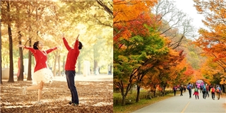 Bạn sẽ hối tiếc cực kỳ nếu bỏ lỡ mùa thu tuyệt đẹp như thế này ở Hàn Quốc