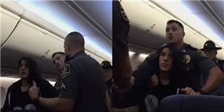Nữ hành khách bị cưỡng chế rời khỏi máy bay vì không chịu bay chung với... chó