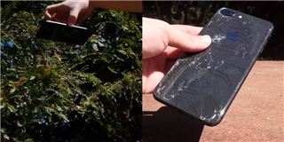 Thử nghiệm đánh rơi iPhone 8 plus, kết quả vỡ tan tành cả mặt trước lẫn mặt sau