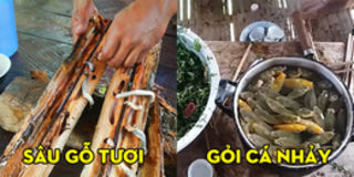 Việt Nam có 2 món ăn đặc sản nổi tiếng châu Á đòi hỏi người ăn phải rất can đảm để ăn tươi nuốt sống