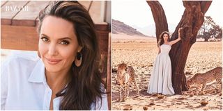 Angelina Jolie đẹp không tì vết kêu gọi bảo vệ động vật hoang dã