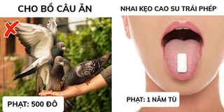 Mắt chữ O mồm chữ A với những điều lạ lùng nhất thế giới chỉ có ở Singapore
