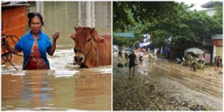 Hãy học ngay những biện pháp xử lý dưới đây để cơ thể không bị nhiễm bệnh sau mưa lũ