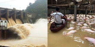 Toàn cảnh trận lũ lụt lịch sử: Đau xót trước những con số thống kê khủng khiếp