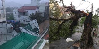 Thống kê thiệt hại do bão số 12: Gần 40 người tử vong và mất tích, hàng ngàn ngôi nhà bị hư hỏng