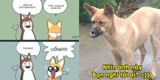 Cuồi tuần cười "mỏi hàm" với loạt ảnh bá đạo nhất mạng xã hội