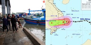 Bão số 12: Một người chết tại Khánh Hòa, hàng chục tàu thuyền bị sóng đánh chìm