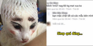 Đây là những bức ảnh bá đạo “cười không nhặt được mồm” trên cộng đồng mạng tuần qua