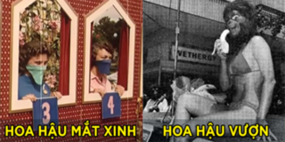 Lan Khuê hay Phạm Hương đảm bảo cũng phải "chào thua" trước những cuộc thi hoa hậu kì dị này