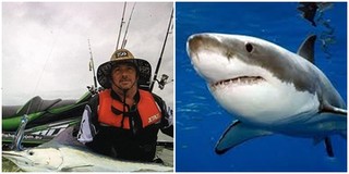 Nghĩ sao khi xung quanh thuyền của bạn là 15 con cá mập to béo như hai người đàn ông này?