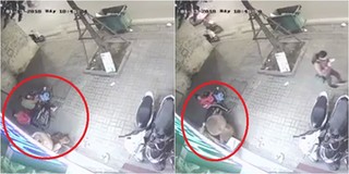 Hà Nội: Bức xúc người phụ nữ dẫn theo con nhỏ đi ăn trộm gấu bông trưng bày trước cửa hàng