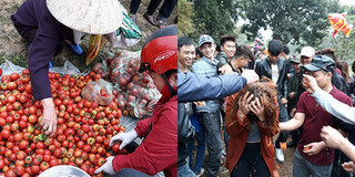 Ảnh: Độc đáo phiên chợ ném cà chua một năm chỉ họp một lần ở Thanh Hóa