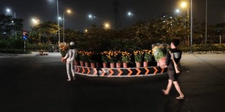 Câu chuyện dễ thương ngày đầu năm: Hai thương lái khệ nệ bê cây cảnh "ế ẩm" trang trí đường phố