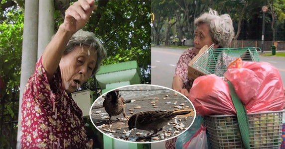 Có 1 Sài Gòn dễ thương thế này đây: Bà cụ nuôi chim trời và cho thú hoang ăn hơn chục năm