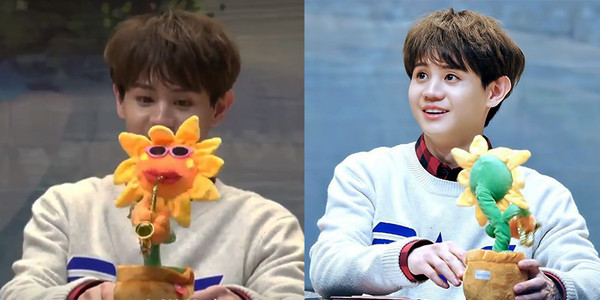 Fan “chết cười” khi nhìn cảnh Yoseob “29 tháng tuổi” thích thú với món đồ chơi biết nhảy múa