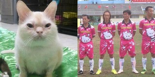 Đầu tuần cười "sái quai hàm" với loạt ảnh bá đạo nhất mạng xã hội những ngày qua