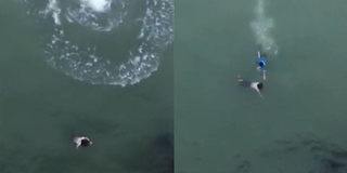 Nam thanh niên liều mình nhảy xuống sông Chu cứu cô gái nhảy cầu tự tử