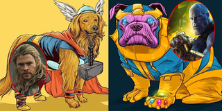 Bỗng một ngày Thanos và dàn nhân vật Marvel hóa chó cưng: Vừa đáng yêu lại vừa bá đạo