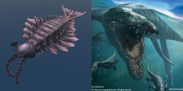 7 loài sinh vật khổng lồ bá chủ thời tiền sử trên Trái đất
