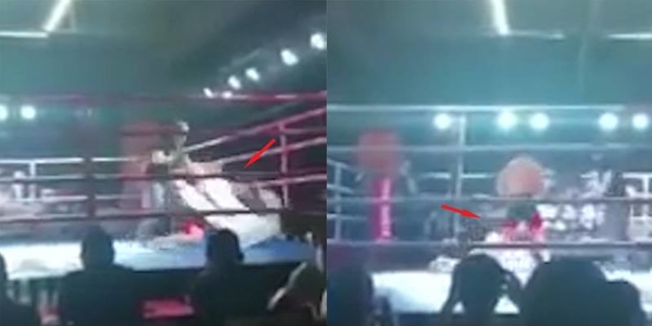 Truyền nhân Thái cực quyền Võ Đang bị võ sĩ MMA nghiệp dư đánh ngã sấp mặt trong...2 giây