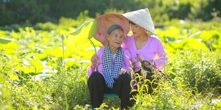 Cụ bà 90 tuổi đầy thần thái khi diện Áo Dài, chụp ảnh cùng cháu gái bên cánh đồng sen