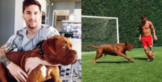 Vượt qua nỗi buồn World Cup, Lionel Messi lại khoe cơ bắp luyện tập cùng cún cưng "đốn tim" các fan!