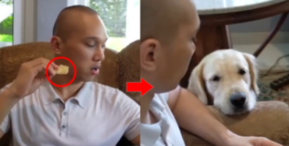 Đồng cảm với video chứng minh ai cũng có một đứa bạn luôn "dòm ngó" đồ ăn của mình