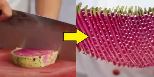 Đỉnh cao của việc dùng dao trong nghệ thuật cắt tỉa