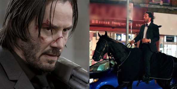 John Wick có thú cưng mới trong phần 3 John Wick: Parabellum?